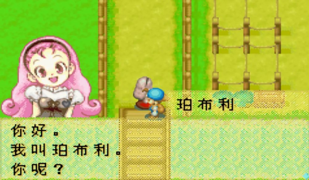 《牧场物语：矿石镇的伙伴们》全人物生日及喜好一览